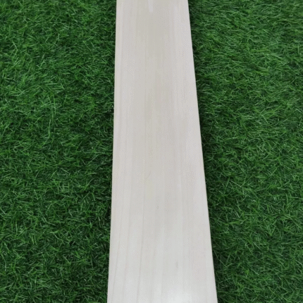 Plain English willow Cricket Bat Ready to Play Big Edge 40-42mm